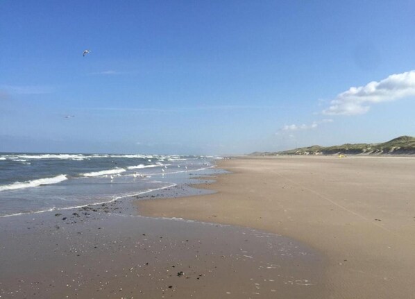 House | View from property