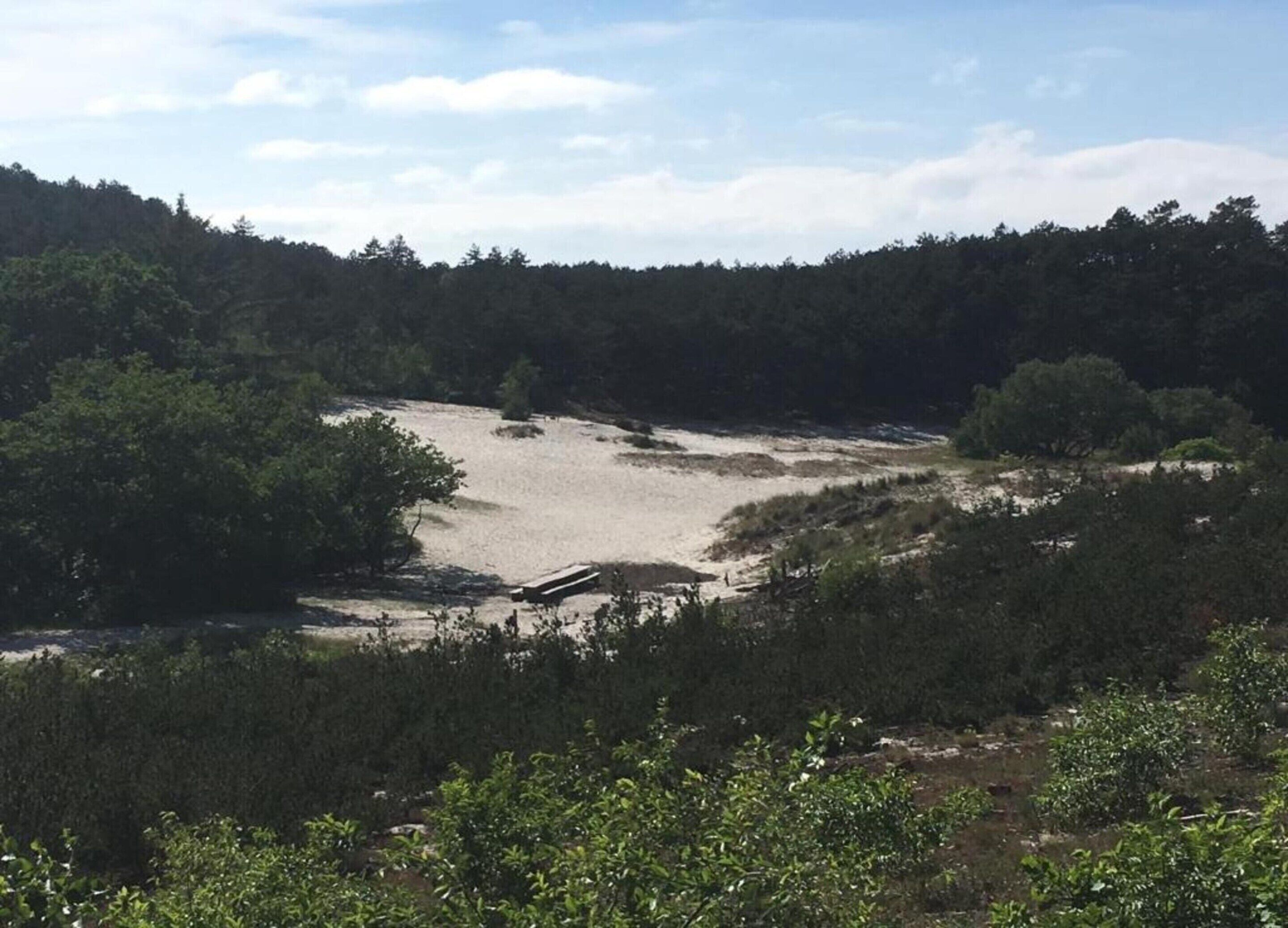 A natural landscape with a sandy area, dense forest, and a small structure.