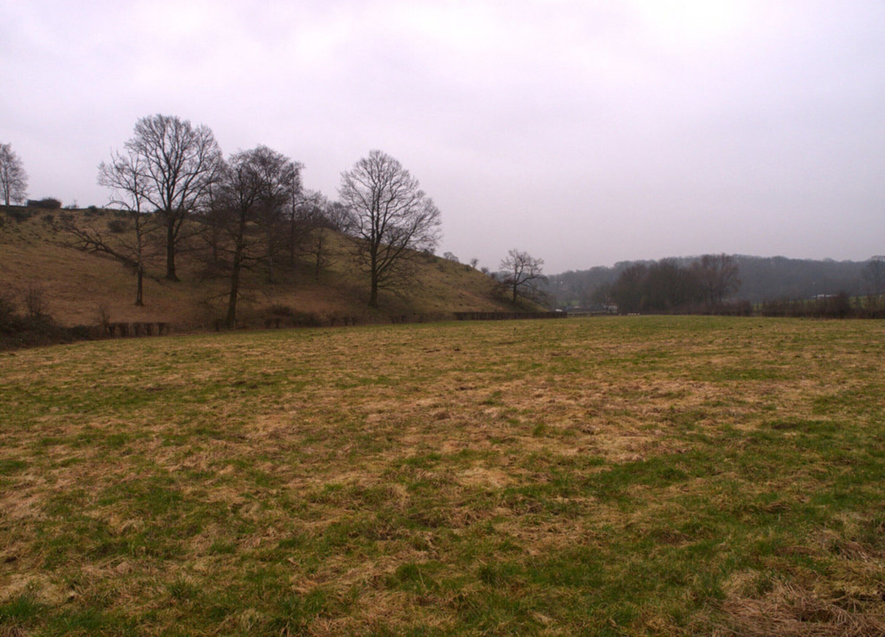A grassy field with trees and a fence in the background.