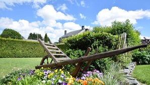En trädgård med en trähjulskärra och en stege, omgiven av färgstarka blommor och en häck.