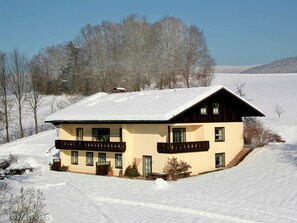 Exterior - Quaint Apartment in Drachselsried Bavaria With Terrace (Drachselsried)