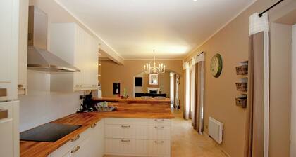 Villa in Provence With Infinity Pool