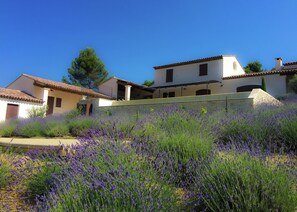 A villa with a stone wall, a terrace, and a garden with lavender. - Villa in Provence With Infinity Pool (Apt)
