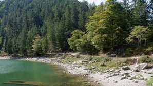 Ein klarer See mit steiniger Uferlinie und dichtem Wald im Hintergrund.