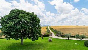 A grassy landscape with a large tree, a stone wall, and a dirt path leading to a distant hill. - Luxury, Modern Apartment With Pool and Stunning Views (Narni)