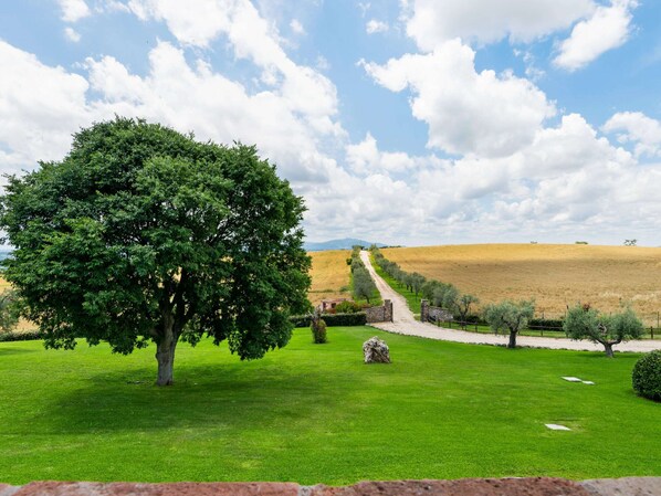 House | Exterior - Luxury, Modern Apartment With Pool and Stunning Views (Narni)