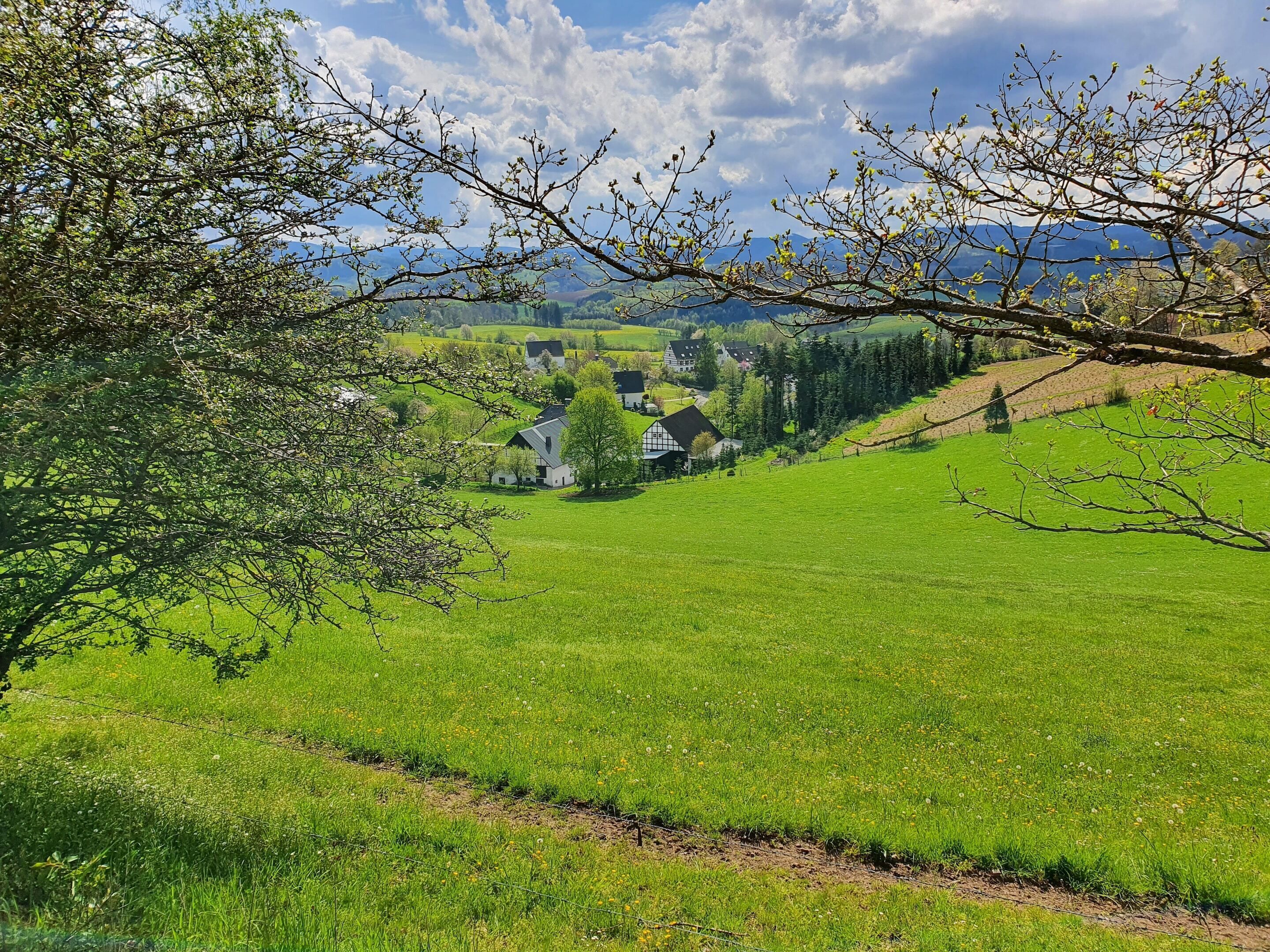 Paisaje rural con campos verdes, algunas casas y montañas al fondo.