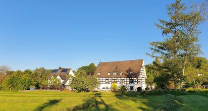 Flat With Private Pool in Sauerland
