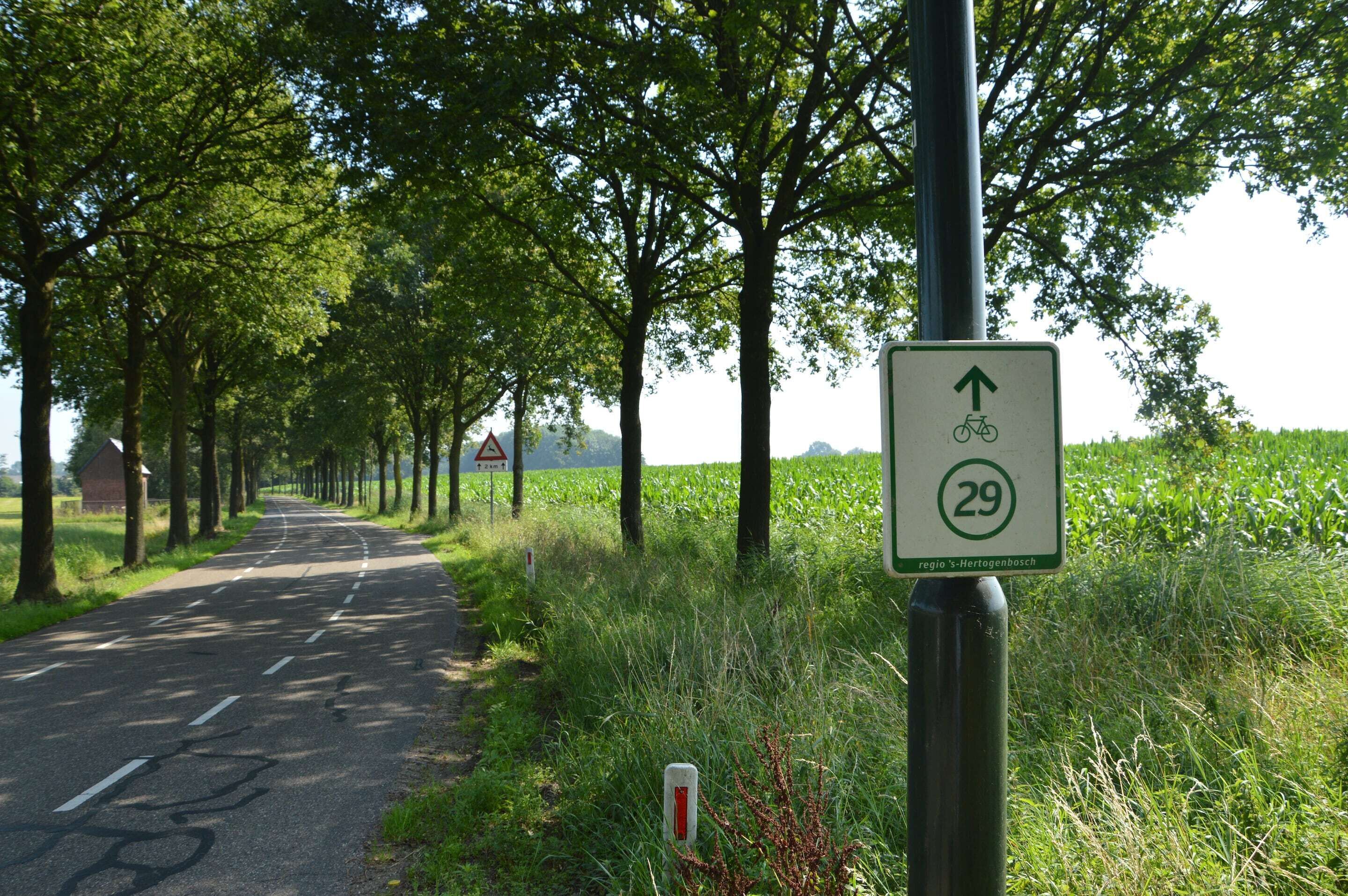 Un panneau de signalisation indiquant une piste cyclable, portant le numéro 29, et entouré d’arbres et de verdure.