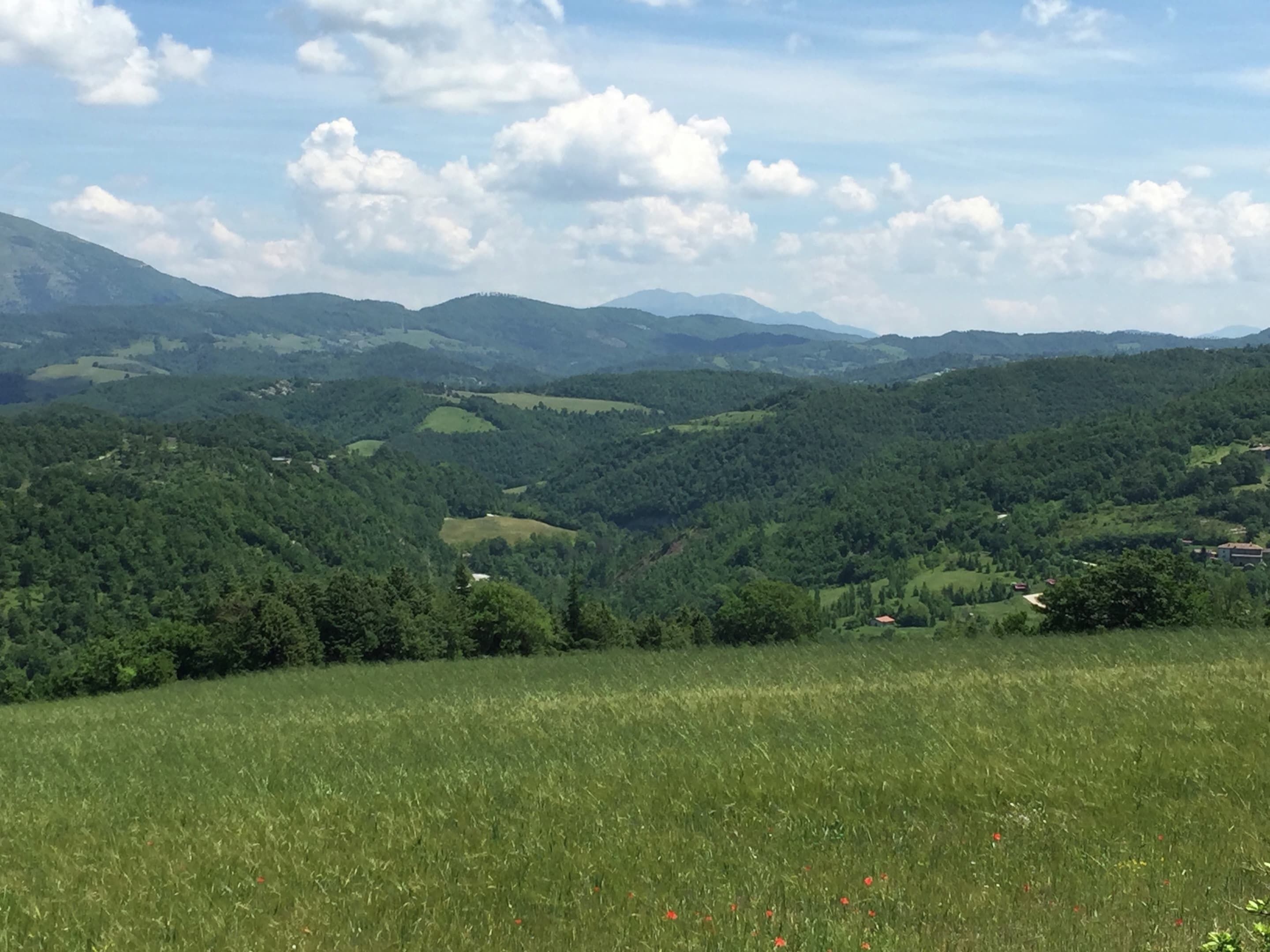 A panoramic view of a mountainous landscape with rolling hills, dense forests, and scattered buildings.