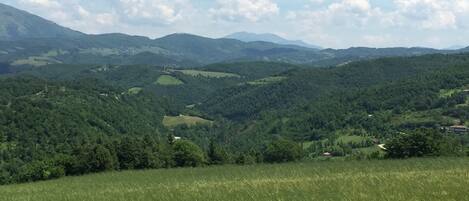 A panoramic view of a mountainous landscape with rolling hills, dense forests, and scattered buildings.