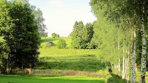 A grassy field with a wooden fence and birch trees. - Fort-like Holiday Home in Sart-bertrix, Near Luxembourg (Bertrix)