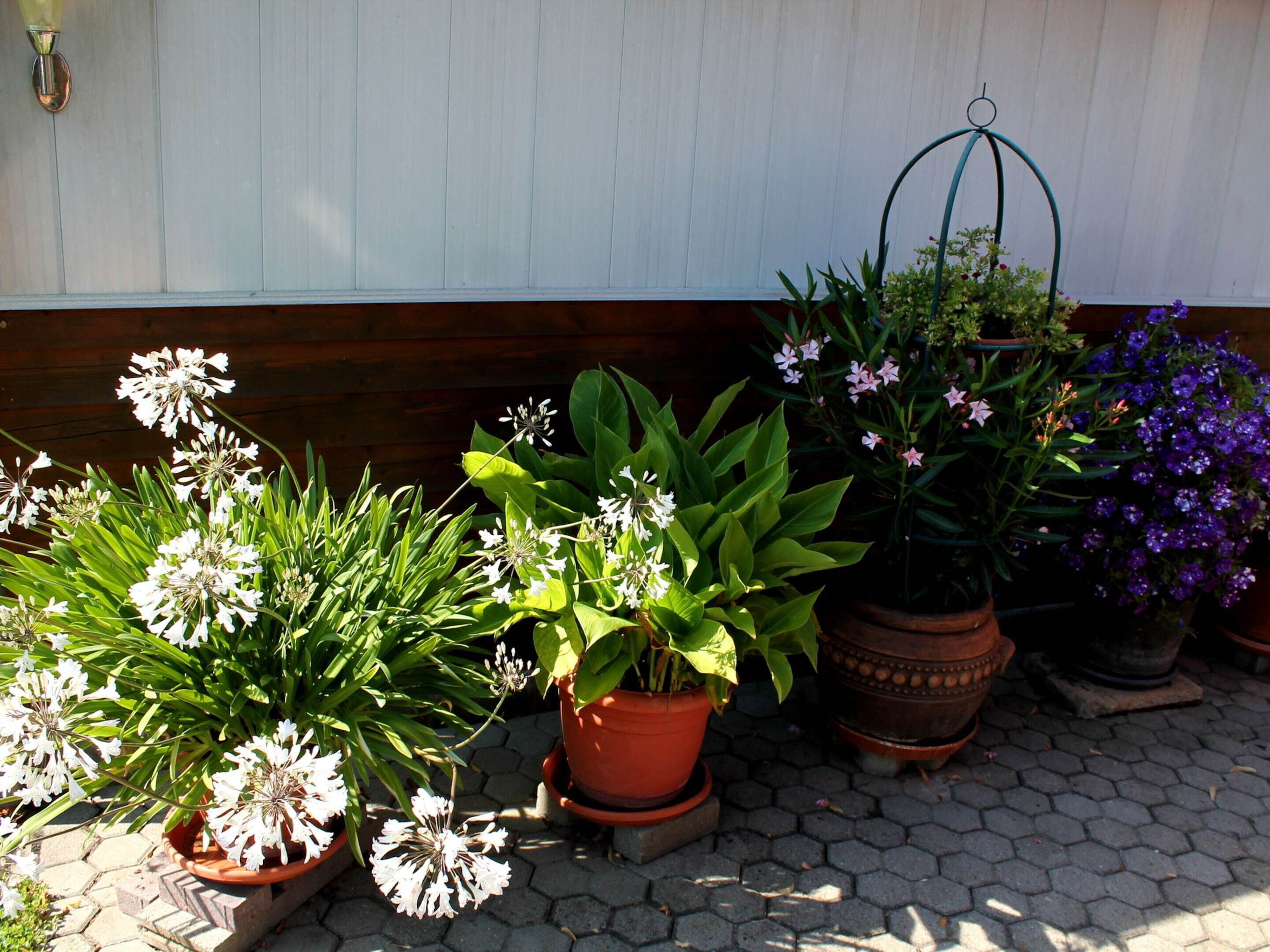 Bungalow | Außenbereich