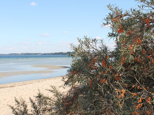 Escape to a serene coastal haven with a pristine beach and lush vegetation.