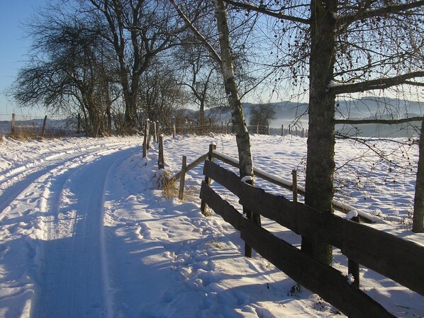 A snow-covered path with a wooden fence and trees.