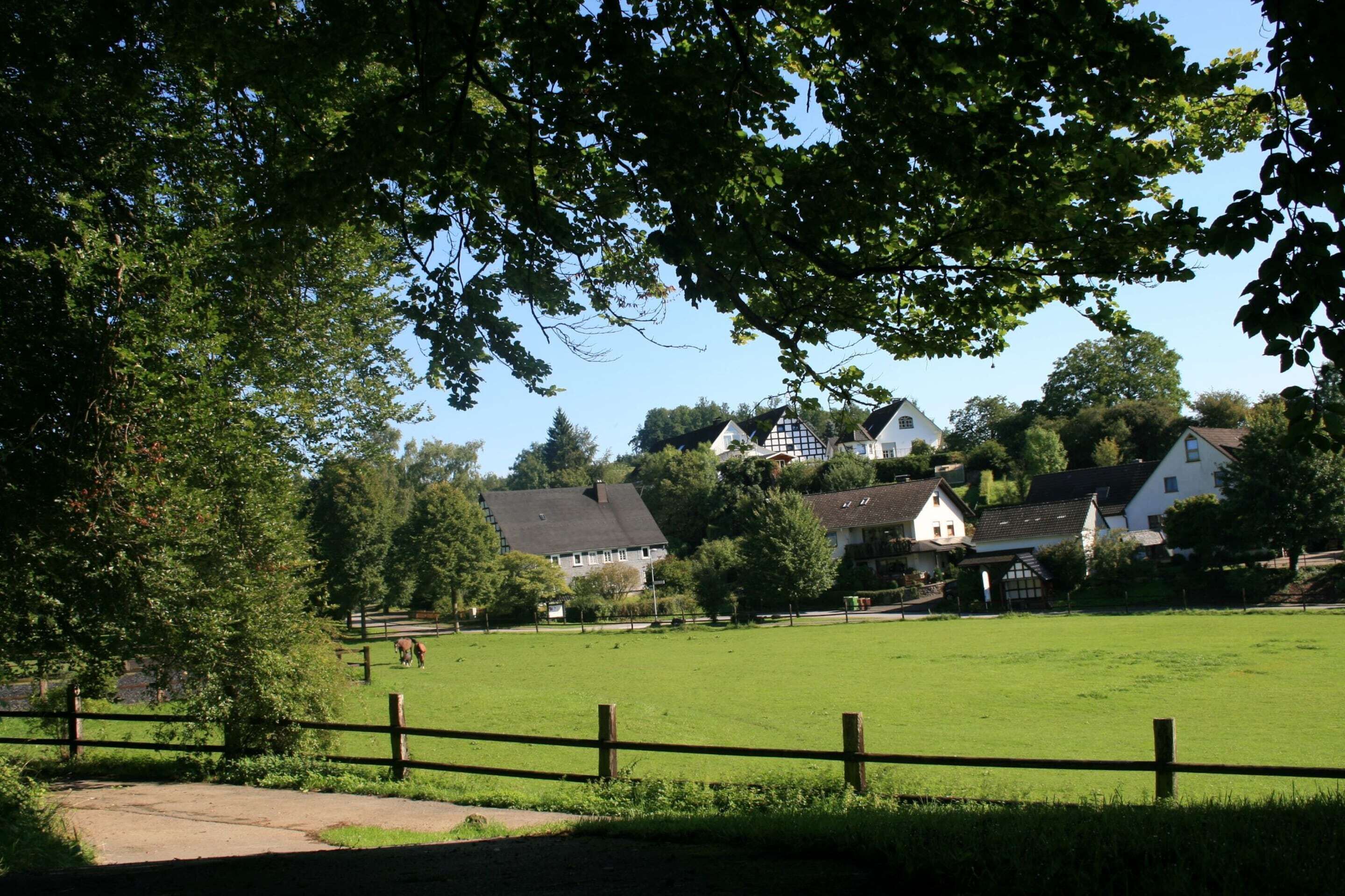 A rural landscape with a large green field, a wooden fence, and houses in the background.