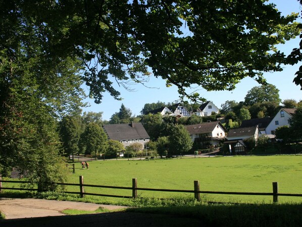 A rural landscape with a green field, a wooden fence, and houses in the background.