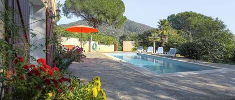 House | Pool | Indoor pool, outdoor pool