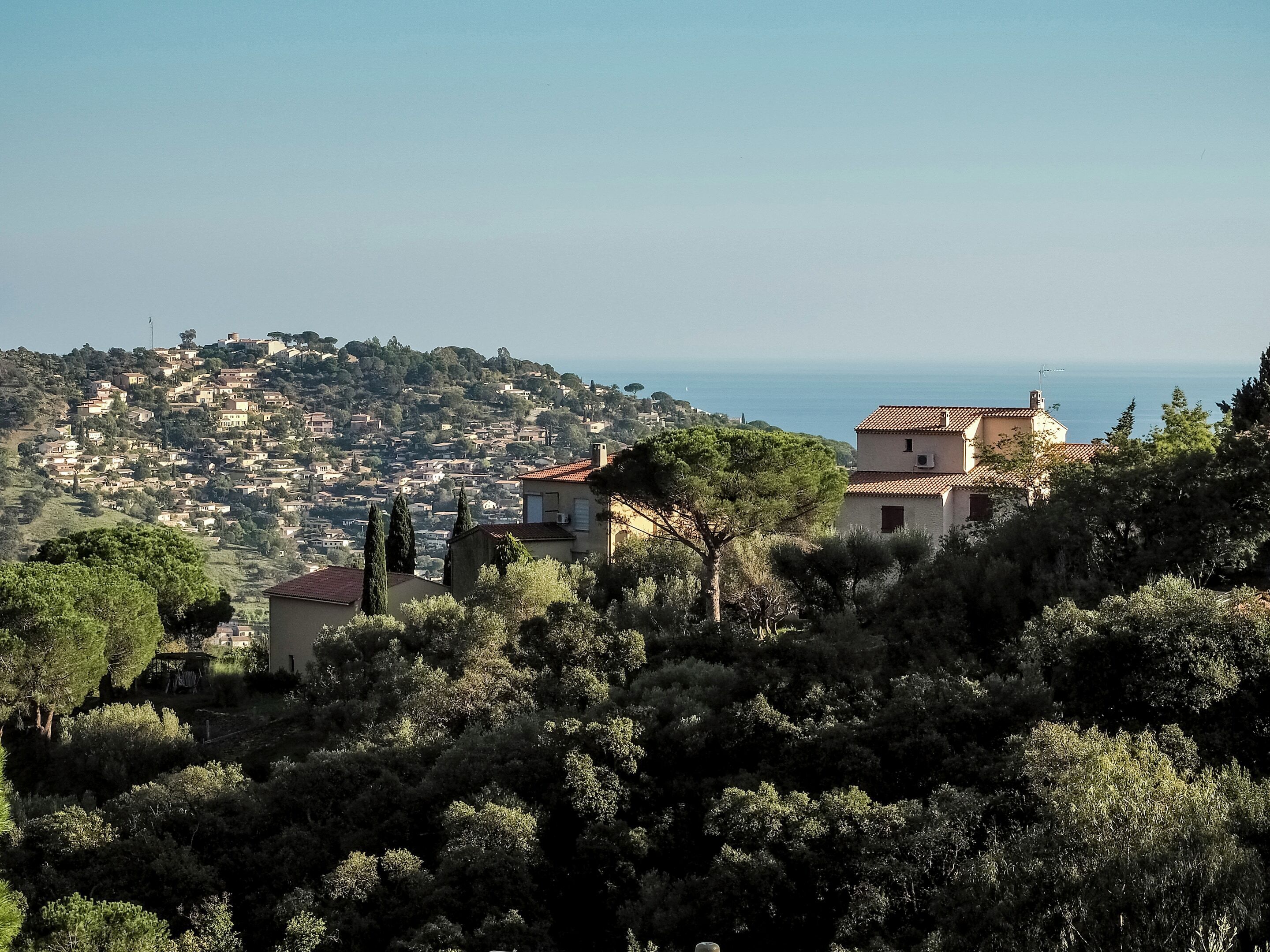 A hillside town with buildings, trees, and a view of the sea.