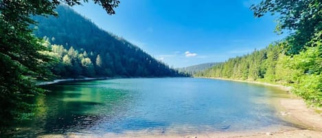 Chalet | Blick von der Unterkunft