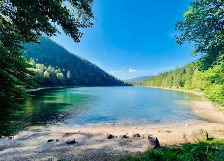 Chalet in La Bresse Near Forest & Lake