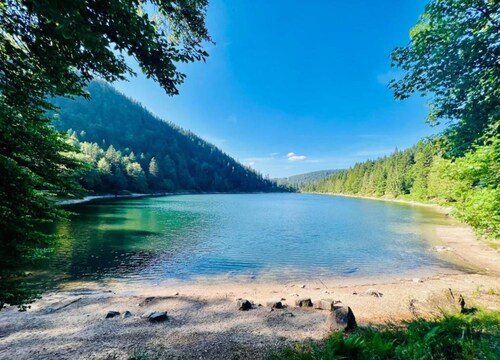 Chalet in La Bresse Near Forest & Lake