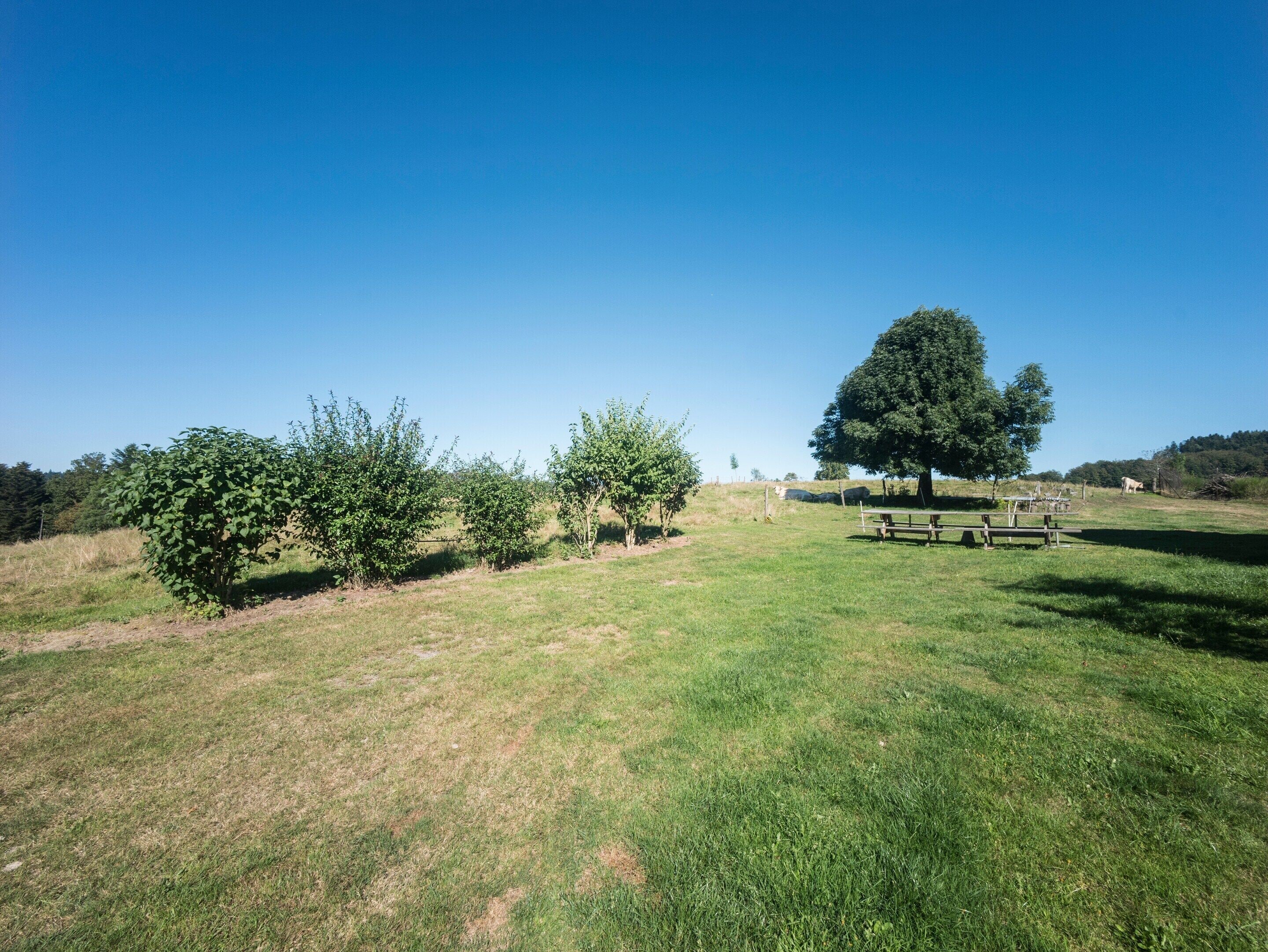 House | View from property