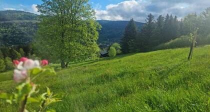 House in Vosges Near Cascades du Gerhard