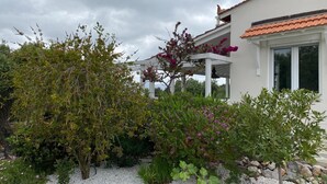 Ein Haus mit weißer Fassade, einem Ziegeldach und einem Garten mit verschiedenen Pflanzen und Blumen.