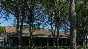 A building with a tiled roof and multiple windows, surrounded by trees. - Apartment Near the Beach and the Clear Blue Sea (Grosseto)