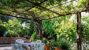 Une terrasse extérieure avec une table et des chaises, entourée de plantes en pot et d’un mur en briques.