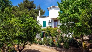 Un bâtiment blanc aux volets verts, entouré d’arbres et bordé d’un chemin de terre.