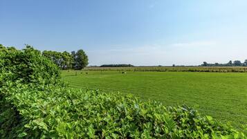 House | View from property