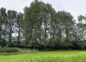 บ้านพัก | วิวจากที่พัก