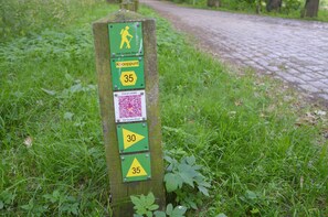 House | View from property - Holiday Home in Haaren With Terrace (Haaren)