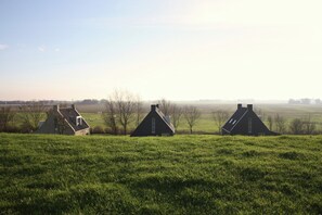 Villa | View from property - Villa in Friesland Near Wadden Coast (Tzummarum)