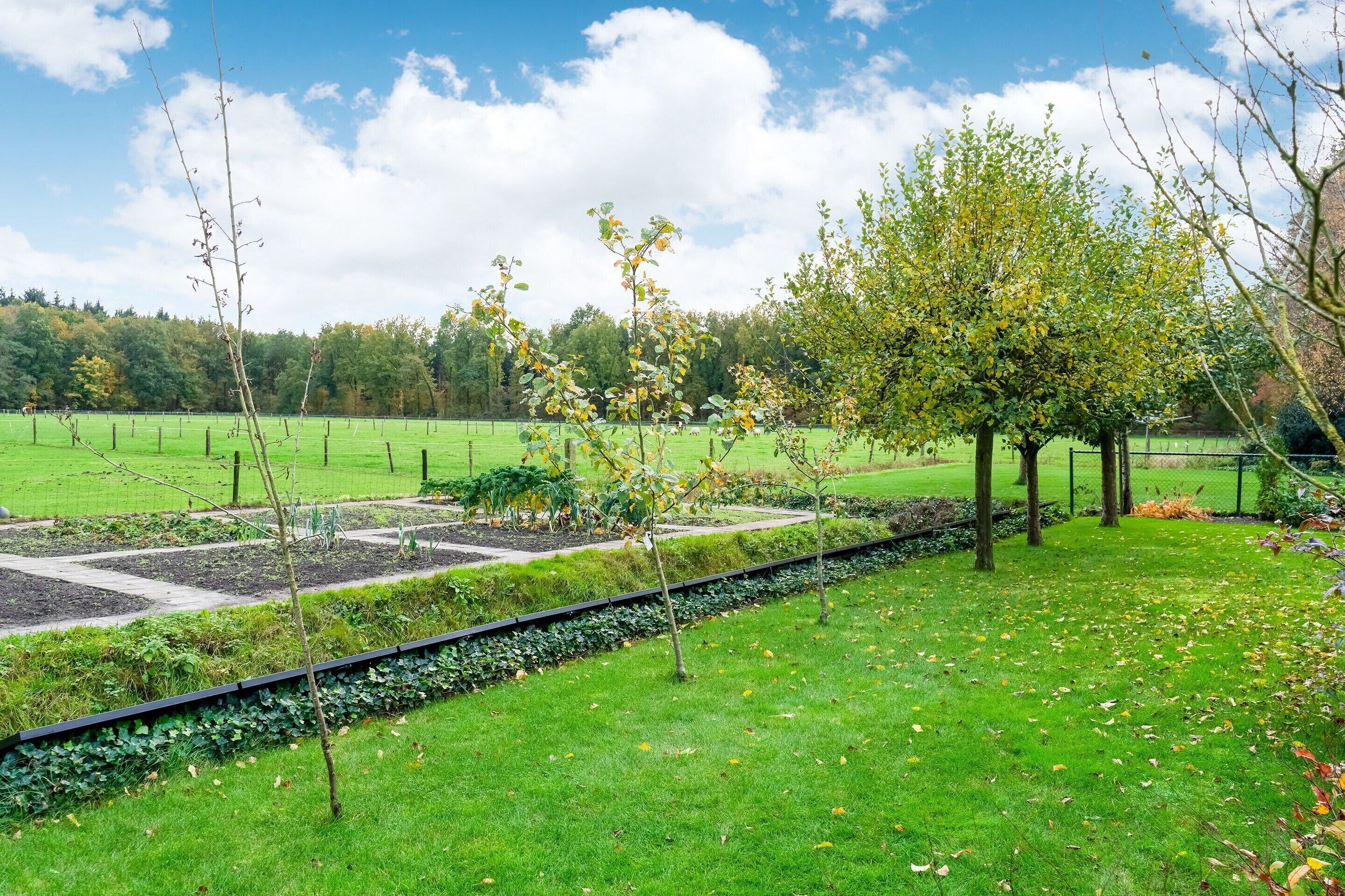 Apartment | View from property