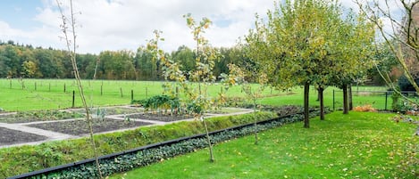 Appartement | Vue depuis lâhĂ©bergement