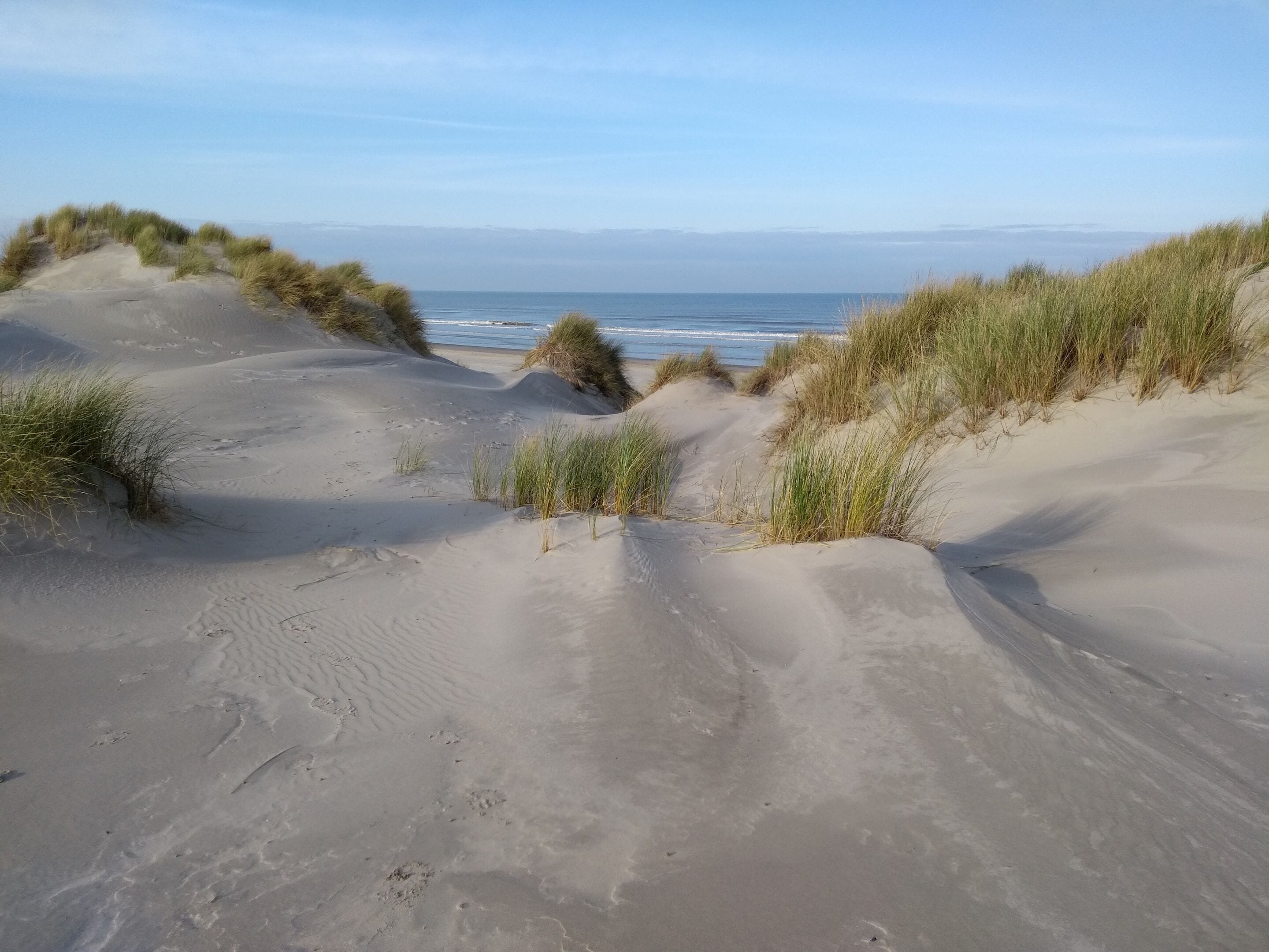 Căn hộ | Quang cảnh nhìn từ nơi lưu trú