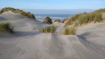 Căn hộ | Quang cảnh nhìn từ nơi lưu trú