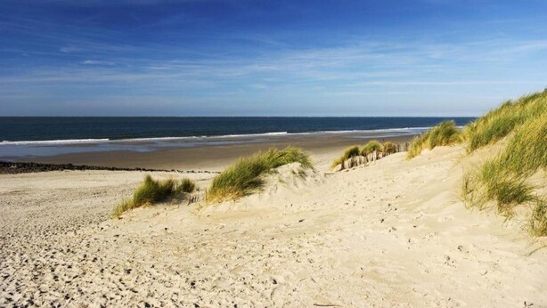 A beach with sand dunes and a clear view of the ocean. - Apartment in Hollum Near the Sea (Hollum)