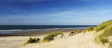 Apartment | View from property