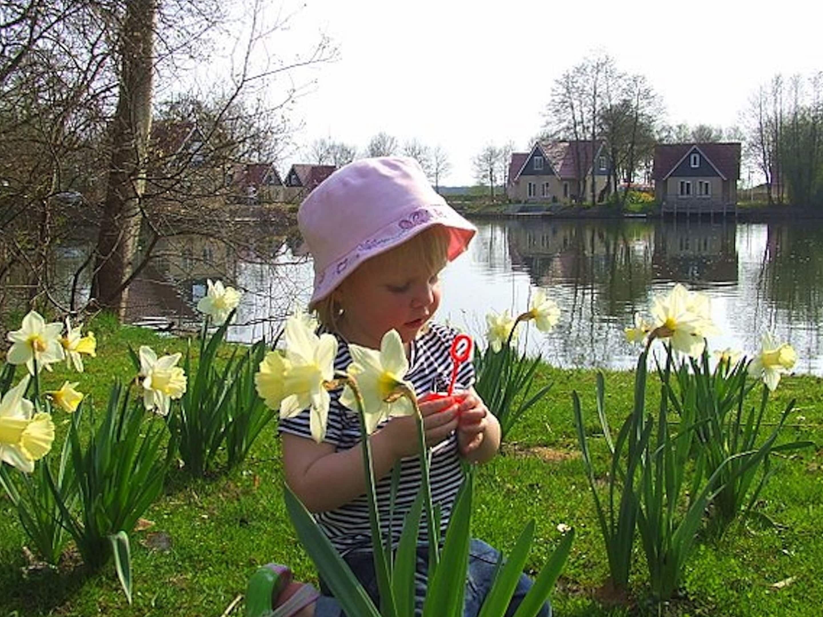 A child in a striped shirt and pink hat near a pond with daffodils and houses in the background.
