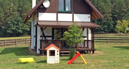 The Holiday House is Located Near the Forest, 300 m From the Lake, 6 km From sea