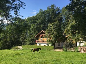 Apartment | Garden - Spacious Apartment near Ski Area in Piesendorf (Piesendorf)