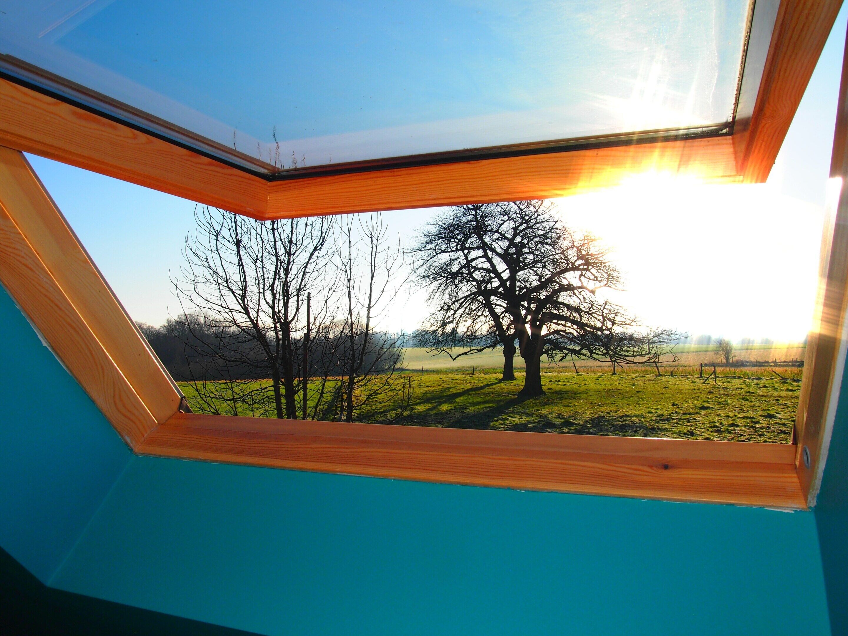 House | View from property