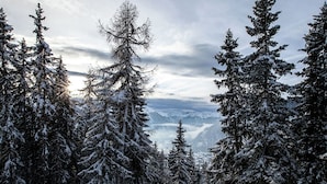 Unclassified image, 3 of 31, button - A new Chalet, on the Edge of La Tzoumaz (Riddes)