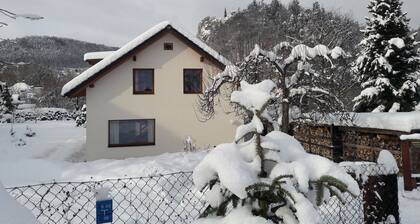 Huge Apartment in Mala Skala Czech Republic near Ski Area