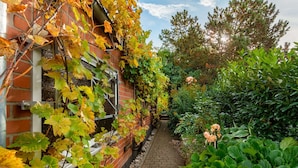 A brick wall with climbing plants, a brick pathway, and lush greenery.