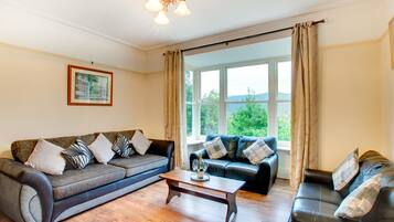 TV, fireplace, DVD player